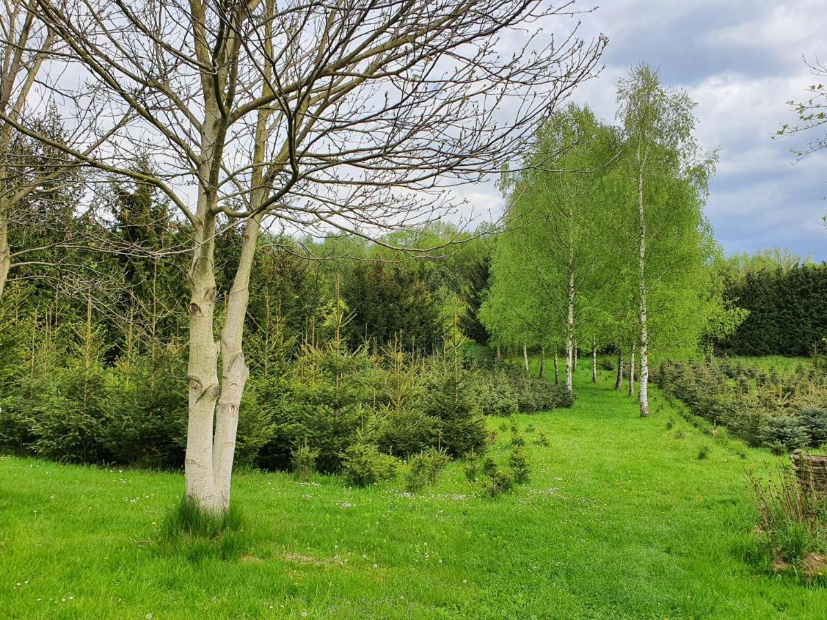 Ferienwohnung Cichy Zakatek Kłodzko Exterior foto
